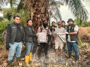 Lahan di Rokan Hilir Terbakar gara-gara Puntung Rokok, Pelaku Ditangkap