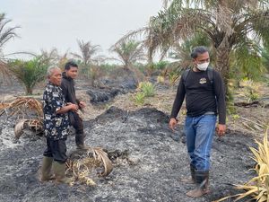Polisi Tangkap Pembakar 10 Hektare Lahan di Bengkalis Riau