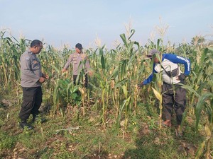 Polres Grobogan Dukung Swasembada Pangan Lewat Program Kolaboratif