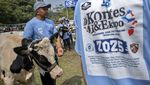 Sapi Perah Jadi Primadona di Kontes Peternakan Bandung Barat