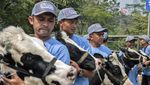 Sapi Perah Jadi Primadona di Kontes Peternakan Bandung Barat
