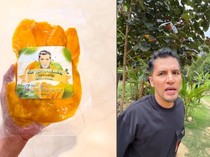 Berkat Jualan Manisan Mangga, Influencer Ini Bisa Beli Pesawat Pribadi