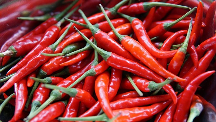 Cabai merah besar