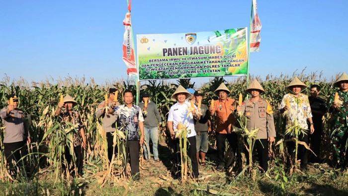 Irwil III Itwasum Polri Brigjen Herukocho turun langsung memimpin panen jagung di Kabupaten Takalar. Dokumen Istimewa