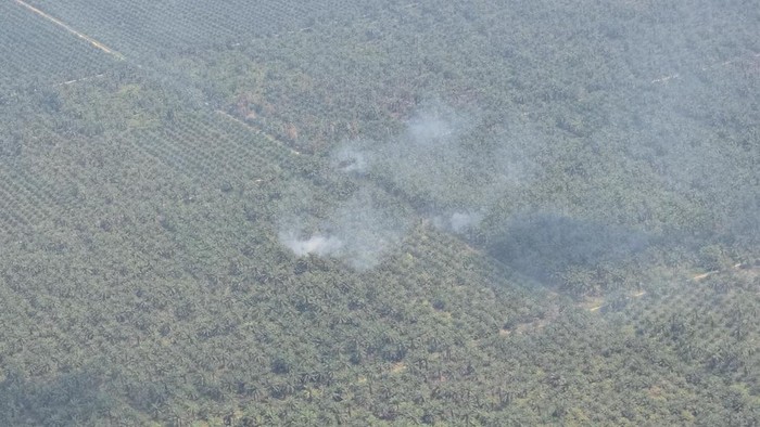 Kapolri Jenderal Listyo Sigit Prabowo melakukan pemantauan udara karhutla di Rokan Hulu, Riau. Begini kondisinya, Kamis (24/7/2025). Kapolri Jenderal Listyo Sigit Prabowo melakukan pemantauan udara karhutla di Rokan Hulu, Riau. Begini kondisinya, Kamis (24/7/2025).