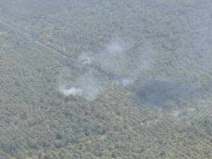Situasi Terkini Karhutla di Riau: Hotspot Berkurang Drastis, Kini 33 Titik