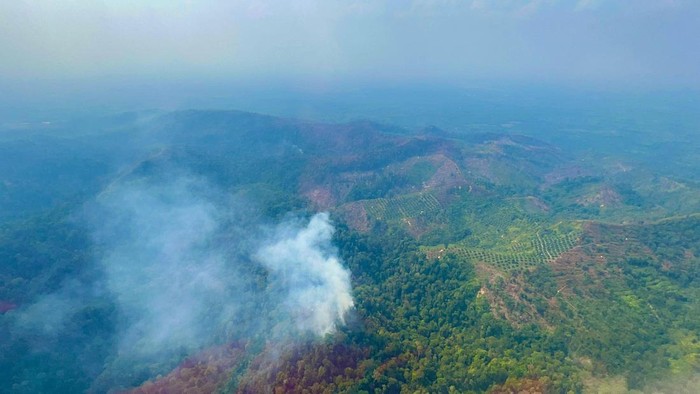Kapolri Jenderal Listyo Sigit Prabowo melakukan pemantauan udara karhutla di Rokan Hulu, Riau. Begini kondisinya, Kamis (24/7/2025).
