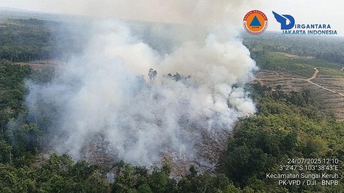 Karhutla di Muba yang terpantau dari patroli udara.