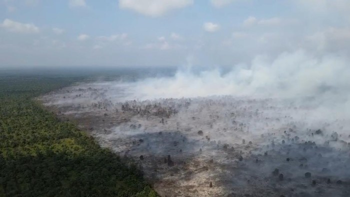Kebakaran hutan dan lahan di Tanjabbar Jambi
