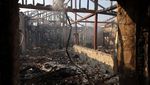 Kebakaran Hutan Dekat Limassol Hanguskan Permukiman Warga
