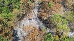 Kebakaran Hutan Landa Lembah Harau, Tanggap Darurat Ditetapkan