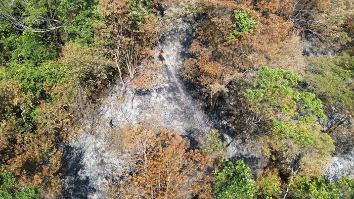 Kebakaran Hutan Landa Lembah Harau, Tanggap Darurat Ditetapkan Foto udara petugas berusaha memadamkan kebakaran hutan di Lembah Harau, Limapuluh Kota, Sumatera Barat, Kamis (24//7/2025). Pemkab Limapuluh Kota telah menetapkan masa tanggap darurat bencana karhutla mula 17 hingga 30 Juli 2025 karena dampaknya meluas di kabupaten itu. ANTARA FOTO/Iggoy el Fitra