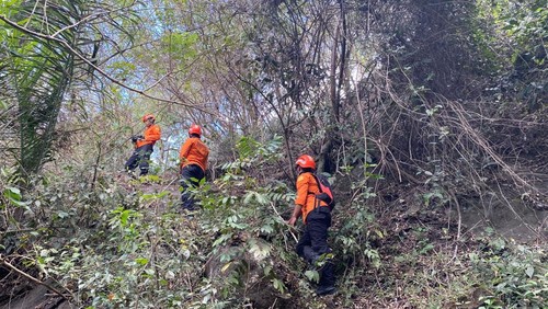 Pencarian nenek Tomasine Bura (63) yang hilang saat hendak cari kayu api di Desa Wuliwutik, Sikka, NTT.