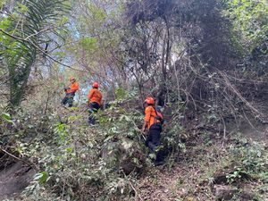 Cari Kayu Bakar, Nenek Hilang Hampir Sepekan di Hutan Sikka