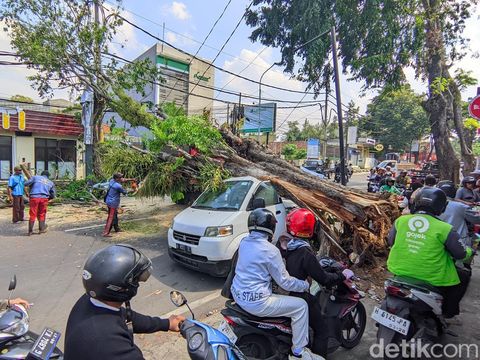 Pohon tumbang menimpa mobil di Ngesrep Semarang, Kamis (24/7/2025).