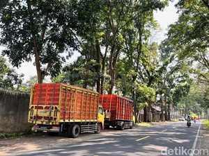 Terjebak Penutupan Jalur Gumitir, Truk Ayam Turunkan Muatan di Jalan