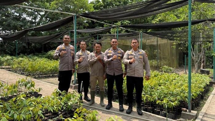 Bank Pohon Polda Riau menerima donasi 1.400 bibit matoa hingga kelengkeng, Kamis (24/7/2025).