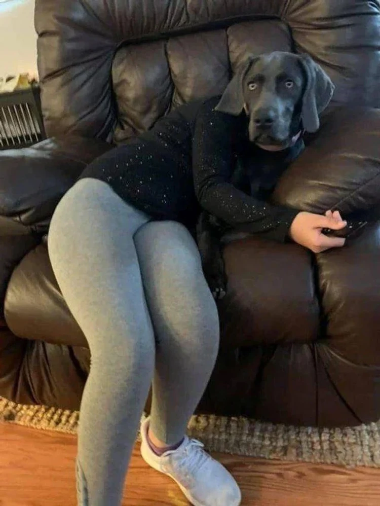 Foto Mengecoh Mata