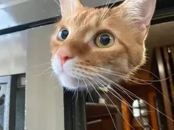 Tanpa Efek atau Editan, Foto Ini Bikin Kamu Melihat Dua Kali