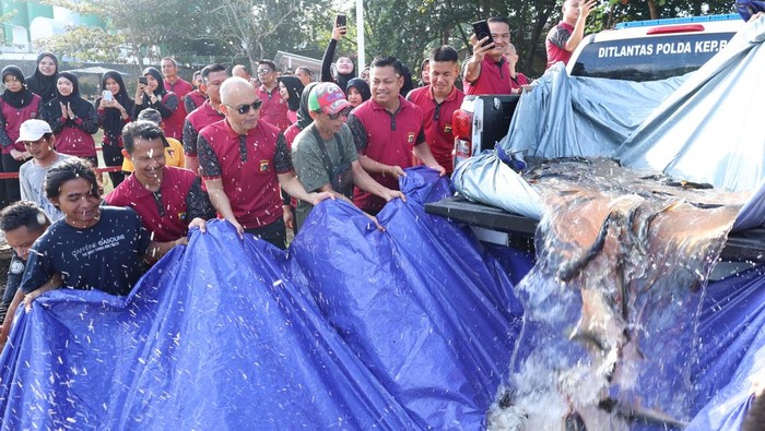 Kapolda Babel Irjen Hendro Pandowo memimpin langsung pelepasan ikan dan burung di Taman Bhay Park.