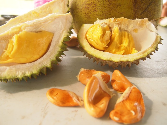 Tampilan buah Durian Musang Queen yang Tak Kalah Enak dari Musang King.
