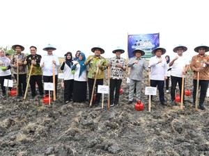 Mendes Yandri Luncurkan Gerakan Menanam Anti Rugi di Blora