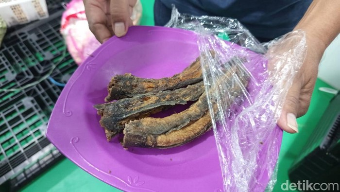 Contoh menu lauk lele yang masih tersimpan di SPPG Muntilan, Jumat (25/7/2025).
