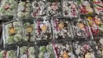 Tak Pernah Sepi, Ini Suasana Pasar Kue Subuh Senen Berusia 40 Tahun