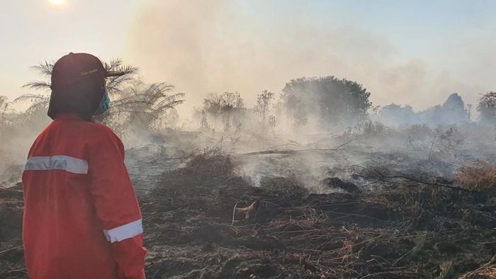 Personel Manggala Agni saat proses pemadaman di Rimbo Panjang (Raja Adil Siregar/detikSumut)