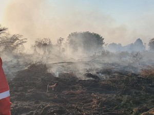 Perjuangan Srikandi Manggala Agni 10 Hari Padamkan Karhutla di Kampar