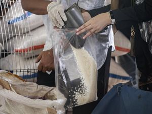 Stok Beras di Jakarta 47.449 Ton, Pemprov DKI Jamin Kebutuhan Warga Aman