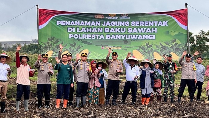 Polresta Banyuwangi  bersama petani menanam jagung lahan seluas 5 hektare di Kelurahan Payaman, Kecamatan Giri
