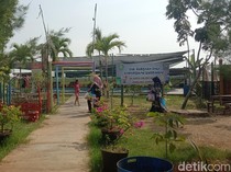 Sindang Indramayu yang Dulu Gagal Panen Kini Menjelma Jadi Desa Wisata