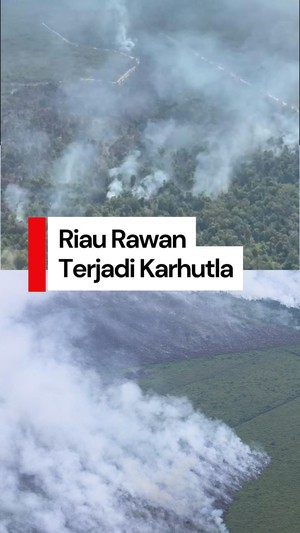 Video: Puncak Kemarau Riau Bakal Terjadi Juli, Potensi Karhutla Meningkat