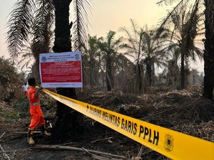 Cegah Karhutla Riau, KLH Segel 4 Perusahaan & Tutup Satu Pabrik Sawit