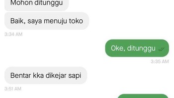 Driver dikejar sapi..Foto: X.com