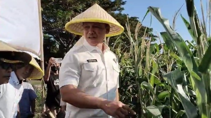 Irwil III Itwasum Polri Brigjen Herukoco saat meninjau langsung lahan jagung binaan Polres Jeneponto. Dokumen Istimewa