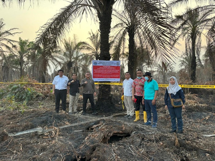 Sawit Ramah Lingkungan, Mitos atau Masih Mungkin?