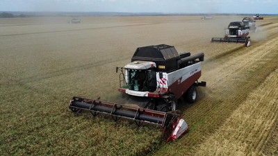 Ladang Gandum Warnai Awal Musim Panen di Rostov