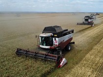 Ladang Gandum Warnai Awal Musim Panen di Rostov
