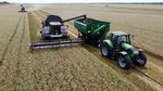 Ladang Gandum Warnai Awal Musim Panen di Rostov