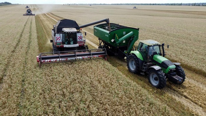 Ladang Gandum di Rostov Warnai Musim Panen 2025 A combine harvests wheat in a field in the Kasharsky district of the Rostov region, Russia, July 24, 2025. REUTERS/Sergey Pivovarov