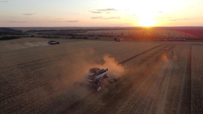 Ladang Gandum di Rostov Warnai Musim Panen 2025 A combine harvests wheat in a field in the Kasharsky district of the Rostov region, Russia, July 24, 2025. REUTERS/Sergey Pivovarov
