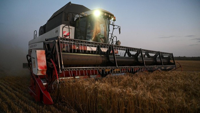 Ladang Gandum di Rostov Warnai Musim Panen 2025 A combine harvests wheat in a field in the Kasharsky district of the Rostov region, Russia, July 24, 2025. REUTERS/Sergey Pivovarov