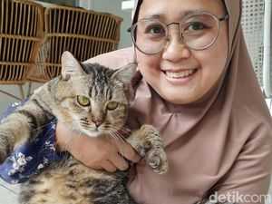 Kisah Dua Perempuan Buka Pet Sitter, Hobi Main Hewan Bisa Raup Rp 5 Juta/Bulan
