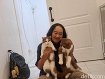 Pekerjaan Unik! Bukan Pengasuh Biasa