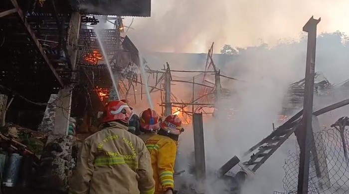 Peternakan di Bogor Terbakar