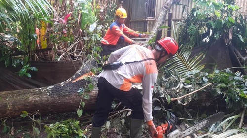 Pohon tumbang timpa rumah warga di wilayah Desa Sibetan, Kecamatan Bebandem, Karangasem, Sabtu (26/7/2025).