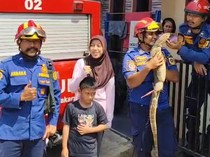 Mimpi Apa Warga Bogor Tahu-tahu Biawak Jatuh dari Atap Rumah