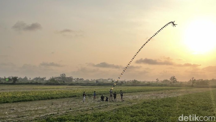 Suasana spot wisata baru di area persawahan wilayah Banaran, Galur, Kulon Progo, Sabtu (26/7/2025).